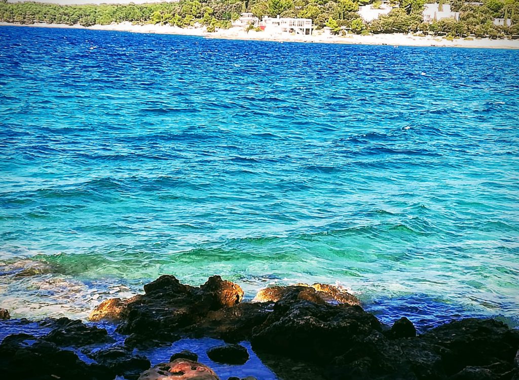 IMG-20200321-WA0010